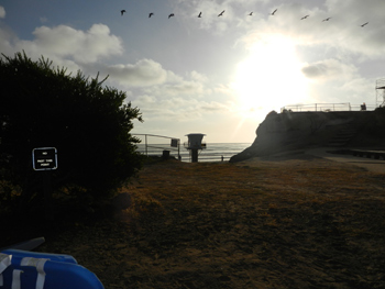 Birds flying at sunset at San Elijo State Beach