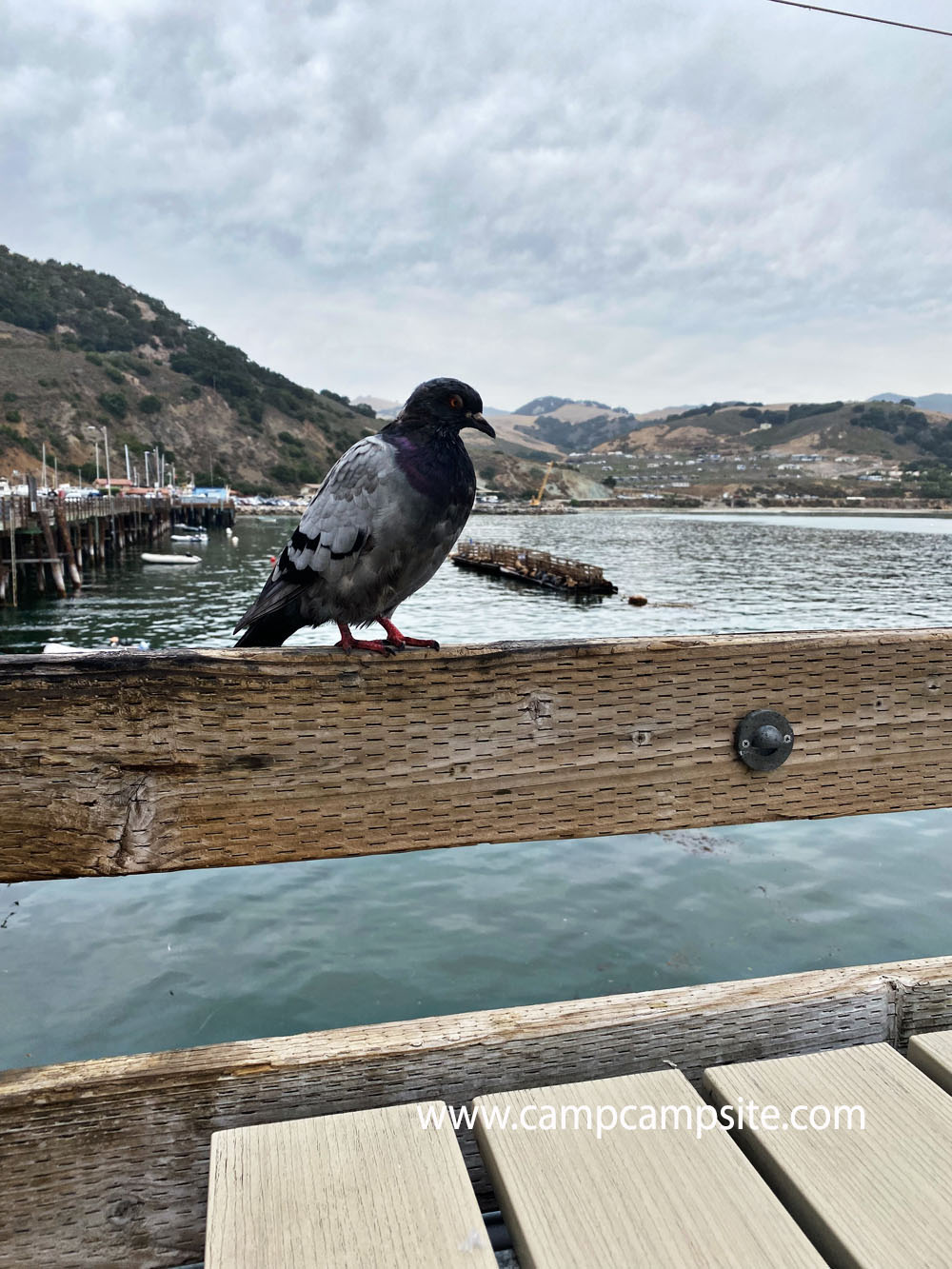 Avila Beach