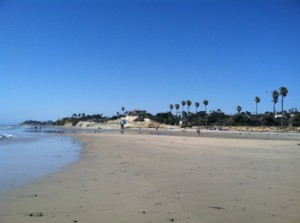 San Elijo State Beach photo of beach