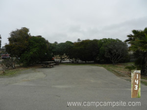San Elijo Campsite #143