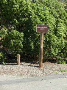 San Elijo Campsite #16