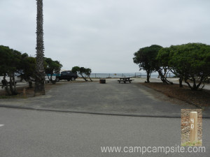 San Elijo Campsite #40