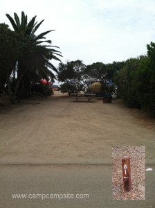 San Elijo Campsite #81