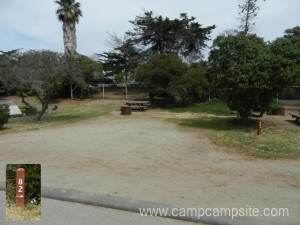 San Elijo Campsite #82