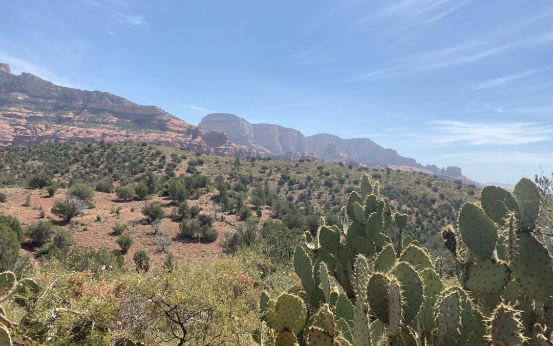 Camping and Jeeping in Sedona Arizona